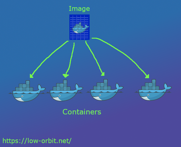 Docker Container vs Image