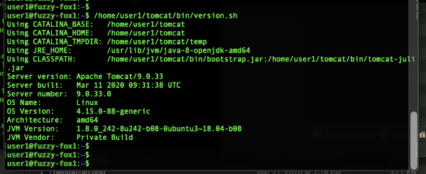 How to Check Tomcat Version in Linux - use the version.sh script