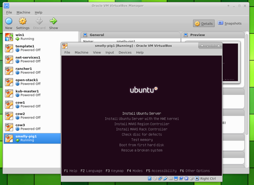 Ubuntu Server in VirtualBox select install