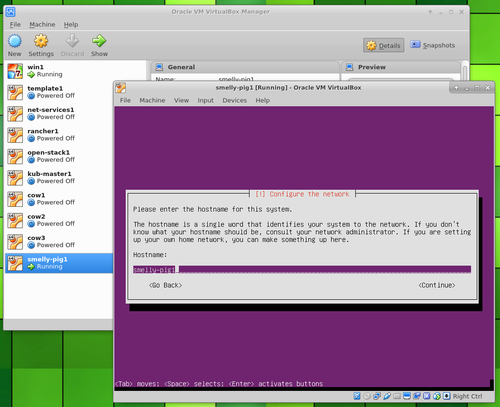 Ubuntu Server in VirtualBox hostname