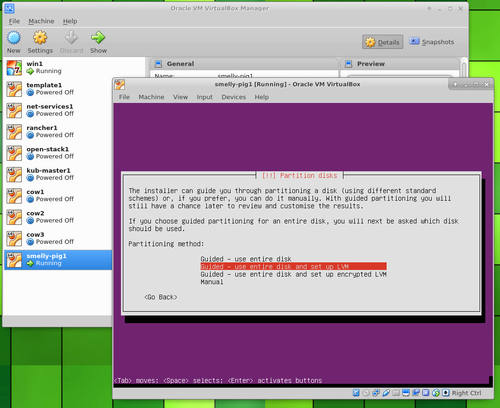 Ubuntu Server in VirtualBox lVM