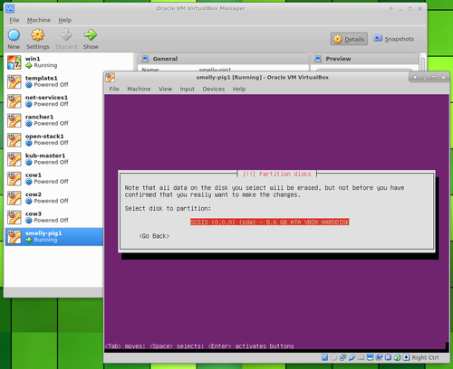 Ubuntu Server in VirtualBox partition