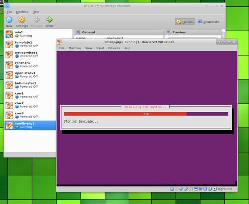 Ubuntu Server in VirtualBox installing