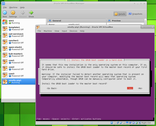 Ubuntu Server in VirtualBox install grub
